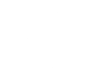 Elevated Essentials Head Shop